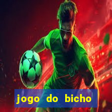 jogo do bicho natal rn